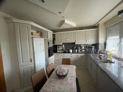 photo no. 13