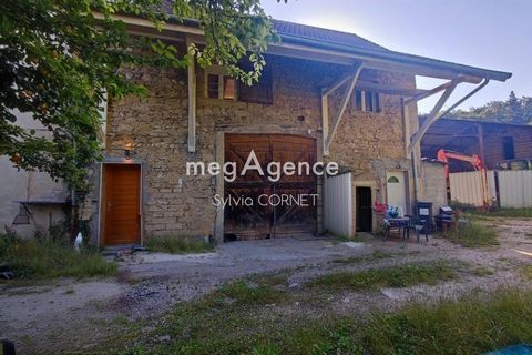 SPECIAL INVESTISSEUR