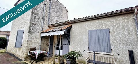 photo no. 10