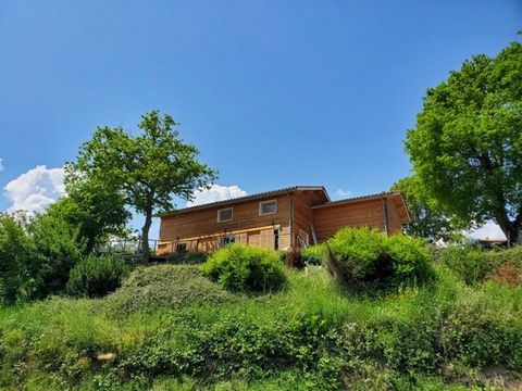 photo no. 11