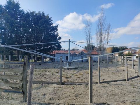 photo no. 9