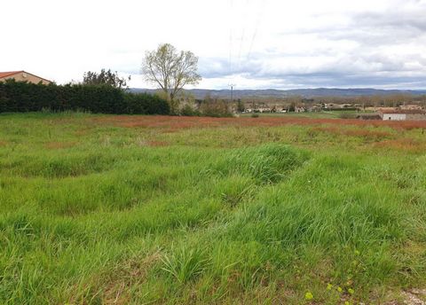 Terrain à bâtir