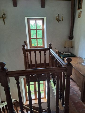 photo no. 6