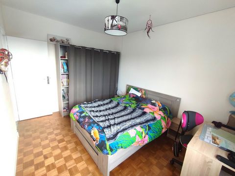 photo no. 8