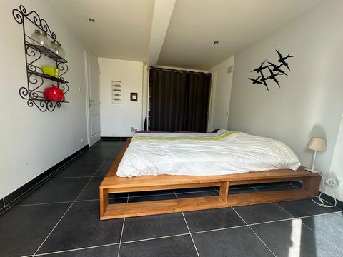 photo no. 12