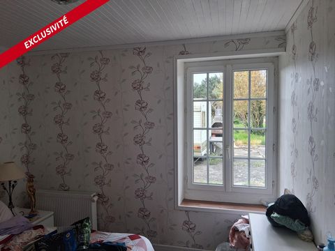 photo no. 11