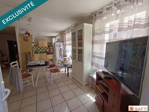 photo no. 11