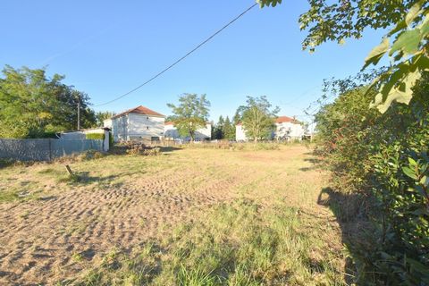 photo no. 2
