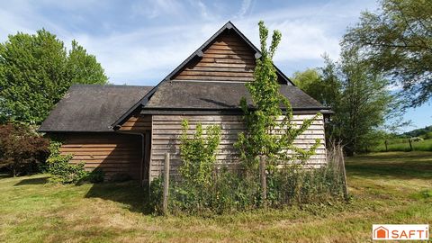photo no. 11