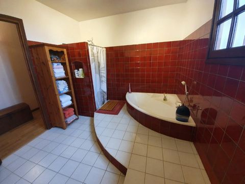 photo no. 13