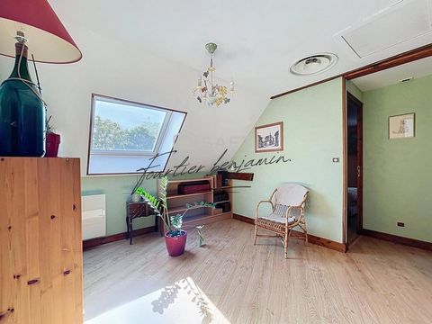 photo no. 11