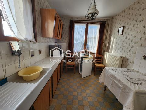 photo no. 5