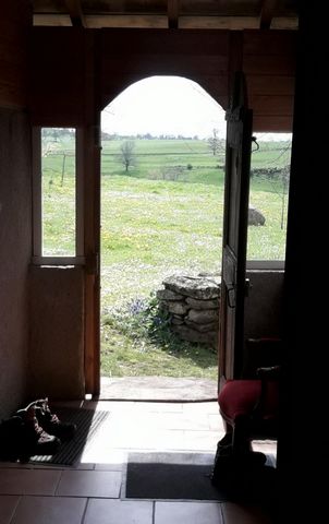 photo no. 4