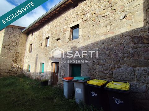 photo no. 10