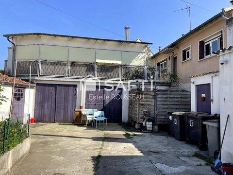 photo no. 11