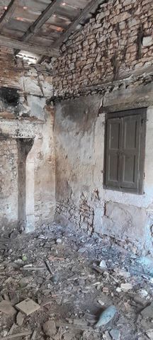 photo no. 4