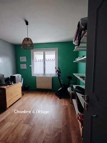 photo no. 5