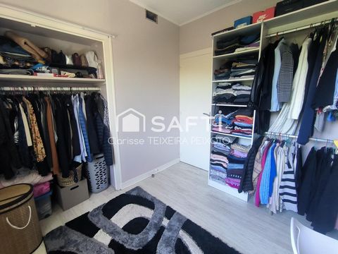 photo no. 11