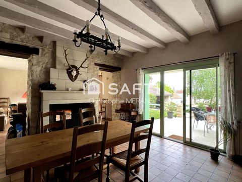 photo no. 12