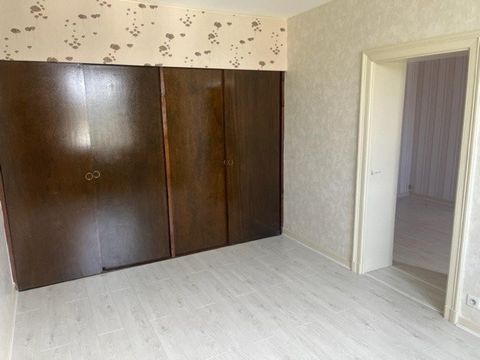 photo no. 11