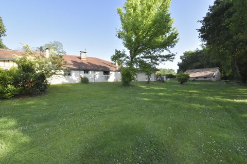photo no. 2