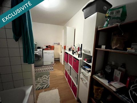 photo no. 7