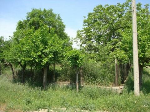 Regelmäßig geformter Innenhof, der an zwei Straßen grenzt, ehemaliger Pfirsichgarten in der Nähe des Kanals. Geben Sie bei Interesse 265193 an.