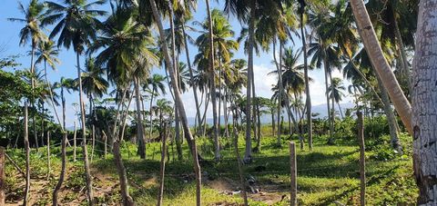Terreno frente a la playa en venta, Miches Laguna Beach, un sueño de los desarrolladores. Ofreciendo kilómetros de costa virgen intacta donde los cocos literalmente caen de los árboles a su paso. El área de Miches ha llamado la atención de los grande...