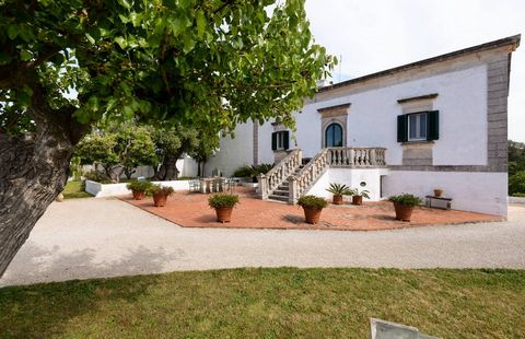 magnificent farmhouse immersed in the centuries-old olive groves of the Ostuni marina, overlooking the sea, with an underground oil mill from the 13th century. The facade, dating back to the end of the 19th century, is fascinating and majestic and pr...