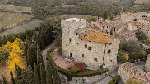 Detta slott ligger nära Vertines medeltida stadsdel, i en dominerande position i hjärtat av Chianti Classico-regionen. Det byggdes i vit sten i början av 1000 e.Kr. och det ansågs ha varit Baroni Ricasolis egendom sedan 1100, som med tanke på det str...