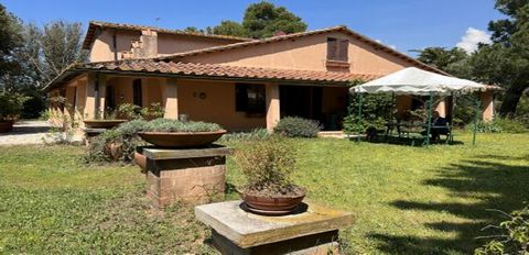 Charming villa with apartments and a farm for certified organic wine and olive oil. The property is situated on a gentle hill surrounded by large gardens, vineyards, and olive groves and features a beautiful swimming pool. It also has a cellar and gr...