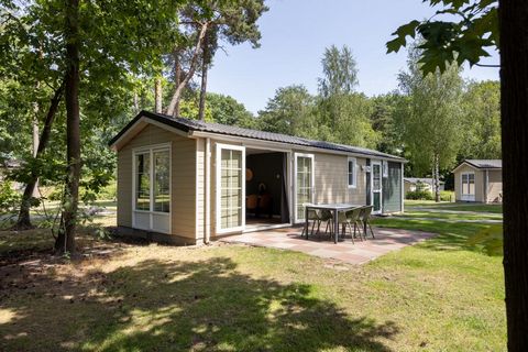Ultimate holiday destination in the woods Do you enjoy spending lots of time walking and biking in a natural environment? If so, a holiday at Park De Peel is an excellent idea. This car-free park is nestled in a wooded area where you can wander to yo...
