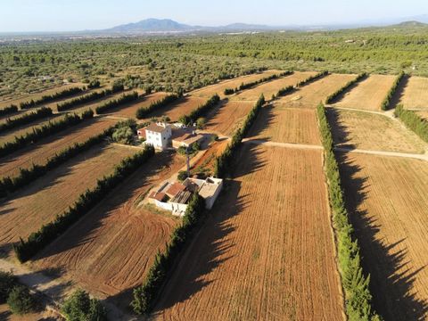 Big irrigated farm of 2623 hectares with 3 houses and 2 warehouses among others