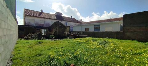 Transform this ruin into a modern and spacious villa! Located in the center of the village of Vieira de Leiria, with a project under analysis by the City Council for a 3 bedroom villa with garage for one car and outdoor enclosure for 2 more. You can ...