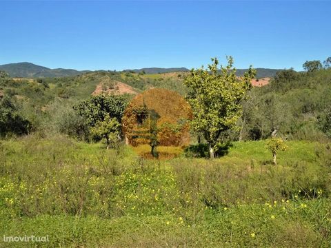 Rustic land, good access, well with water, electricity on site. Land with some slope and flat parts, fruit trees: orange trees, lemon tree, nespereira, dryland trees, olive trees, holm oaks, cork oak and strawberry tree. The most used orchards on the...