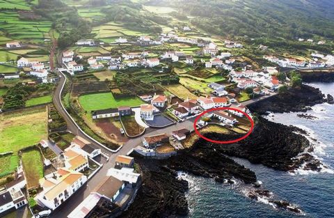 House located in Santo Amaro, a small village with a population of 200, on the north coast of Pico island. The garden ends at the sea. Wake up and come to the living room to see the island ahead and the boats sailing on the channel. Walk to the port ...