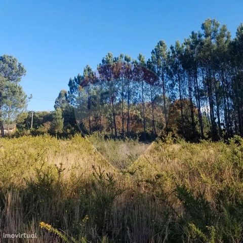 Land with an area of 1030m2, with 40% of implantation area. This land is located in the parish of Cerdal. It is located in a quiet place with excellent sun exposure. This property is located next to the A3 and the Expressway to Spain.  As it has acce...
