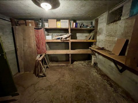 photo no. 15