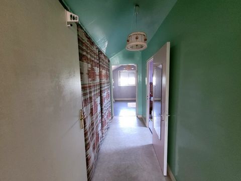 photo no. 11