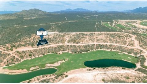 Additional Description Palmilla Park Lot 13 San Jose Corridor Palmilla Park is designed to highlight the expert use of outdoor spaces The 35 large home sites surround multi use fields cycling and hiking trails. Each homesite takes advantage of the na...