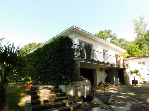 photo no. 40