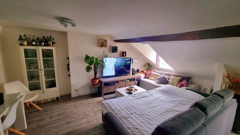 Jardin des PLantes Lovely attic apartment on the 5th and last floor without elevator Unobstructed view 2 rooms well furnished Well maintained floors Well maintained walls Well maintained electrical system Good plumbing and sanitary facilities Stone b...