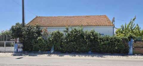 Cette charmante villa de 4 chambres est située dans la région pittoresque de Fernando Pó, à Poceirão, une région connue pour sa tranquillité et ses paysages champêtres. Avec un terrain généreux, la maison est idéale pour ceux qui recherchent un style...