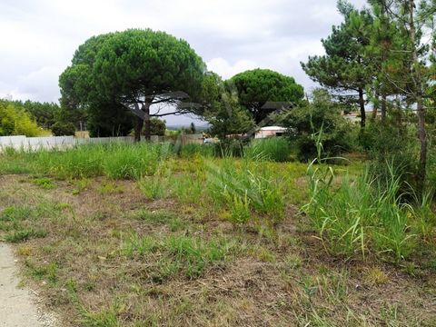 Flat plot of 5300 m2, well located, about 2 km from Caldas da Rainha. Excellent option for building a family home or two houses. Located in the western region, at the gates of the city of Caldas da Rainha, 10 km from Foz do Arelho and 20 km from othe...