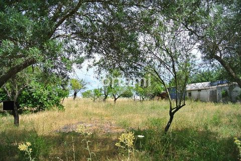 Terrain constructible à Santa Bárbara de Nexe! Avec avis favorable pour la construction de deux maisons unifamiliales identiques ou symétriques de typologie de quatre chambres, réparties sur deux étages, ayant chacun une superficie d´environ 220 m2. ...