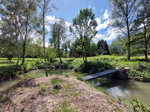 À Saulcy-sur-Meurthe, ce terrain bien situé bénéficie d'un étang. Sur les 8882m2 se trouvent 2 parcelles constructibles (Permis accordé). Prix : 179 200 € dont 10% d'honoraires (H.T.) à la charges de l'acquéreur Prix hors honoraires : 160 000€. Les i...