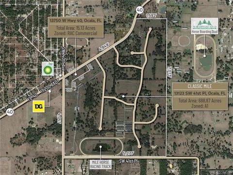 Welkom bij 'The Classic Mile Training Park' in Ocala, Florida, de 'paardenhoofdstad van de wereld'. Dit zeldzame landgoed van 704 hectare is een once-in-a-lifetime kans. Het is Ocala's eerste openbare volbloedtrainingsfaciliteit, doordrenkt van paard...