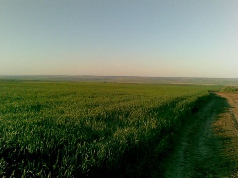 2.Investitionsvorschlag: in Industrie oder Landwirtschaft in Rumänien Landwirtschaftliche Grundstücke und ein Gebäude und Büros auf 3 Hektar Land (30.000 m² geeignet und Baugenehmigung auf der gesamten Fläche). Am Eingang befindet sich ein Wachhäusch...