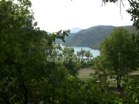 photo no. 1