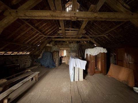 photo no. 4